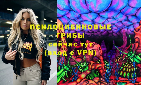 соль курить ск Алзамай