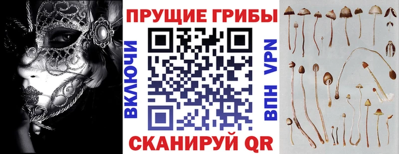 Псилоцибиновые грибы мухоморы  магазин    Гусь-Хрустальный 