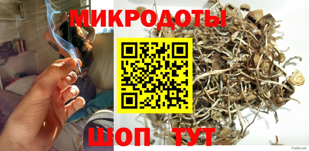 Галлюциногенные грибы мухоморы Гусь-Хрустальный