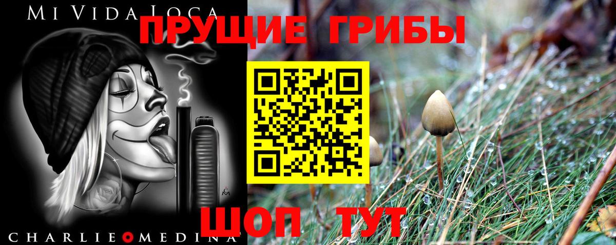 Галлюциногенные грибы MAGIC MUSHROOMS  Вход с VPN  сколько стоит  Гусь-Хрустальный 